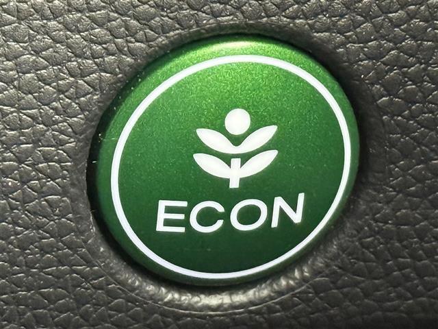 フィット １３Ｇ・Ｆパッケージ　社外ナビ　バックカメラ　ワンセグＴＶ　ドライブレコーダー　スマートキー　プッシュスタート　電動格納ミラー　ＥＴＣ　ＣＤ／ＤＶＤ再生　パワーステアリング　パワーウィンドウ　横滑り防止装置（9枚目）