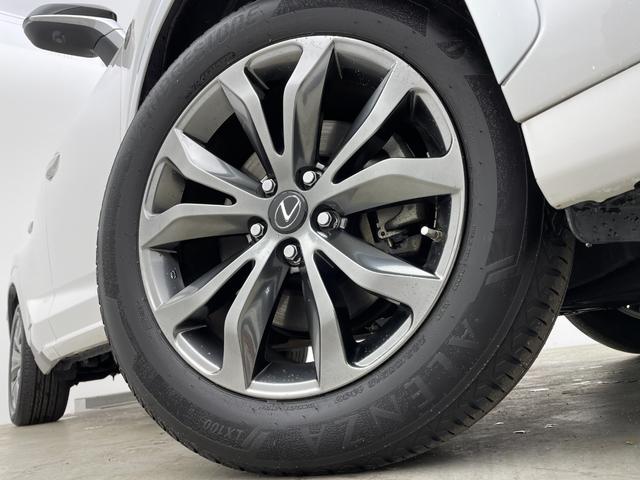 ���f�ډӏ��ȊO�ɂ���]�̎ʐ^���������܂�����A���C�y�ɂ��₢���킹�������I���[����X���ł����肳���Ă��������܂��B