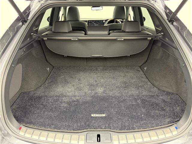 RX RX450h+ バージョンL サンルーフ ルーフレール 寒冷地仕様 輻射ヒーター レーダー デジタルインナーミラー 全方位モニター 全席シートヒーター 全席シートクーラー ハンドルヒーター テレビキャンセラー ETC 充電ケーブル(28枚目)