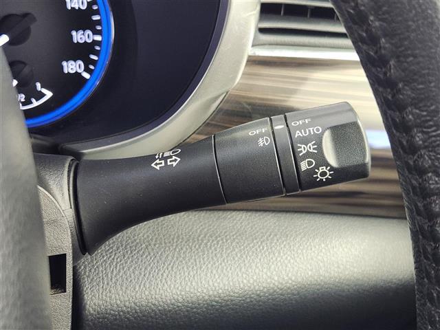 エルグランド ２５０ＨＷＳ　Ｓ　アーバンクロム　サンルーフ　純正エアロ（フロント／サイド）　純正メーカーナビ　Ｂｌｕｅｔｏｏｔｈ接続　ワンセグＴＶ　ＤＶＤ／ＣＤ　ＡＭ／ＦＭ　ＵＳＢ　ＡＵＸ　両側パワースライドドア　クルーズコントロール　ドラレコ（9枚目）