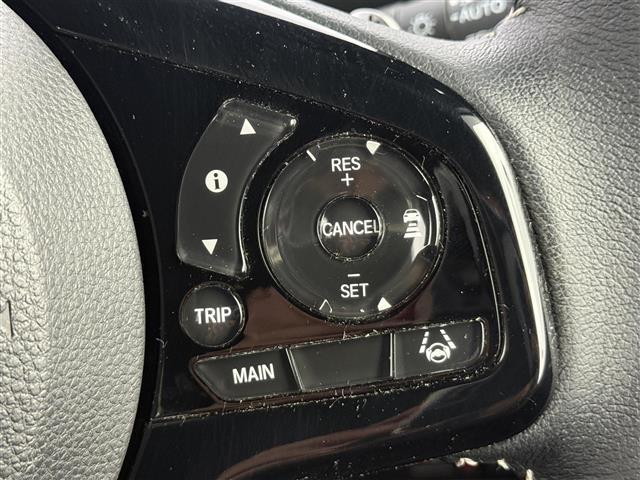 N-BOX L・ターボ ホンダセンシング 衝突被害軽減ブレーキ 誤発信抑制機能 アダプティブクルーズコントロール 車線維持支援システム 先行車発進お知らせ機能 Bluetooth 横滑り防止装置 盗難防止 フルセグTV(6枚目)