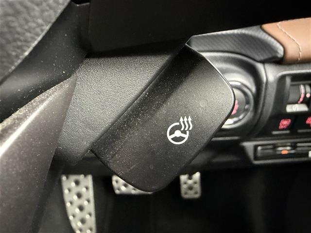 フォレスター アドバンス　アイサイト　サンルーフ　純正ナビ　Ｂｌｕｅｔｏｏｔｈ接続　ＤＶＤ／ＣＤ　フルセグＴＶ　ＡＭ／ＦＭ　バック／サイドカメラ　ＥＴＣ　レザーシート　メモリー付きパワーシート　シートヒーター　衝突軽減ブレーキ（11枚目）