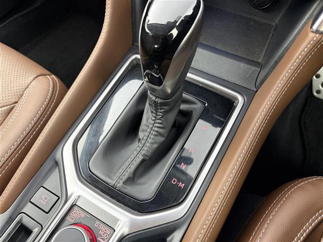 フォレスター アドバンス　アイサイト　サンルーフ　純正ナビ　Ｂｌｕｅｔｏｏｔｈ接続　ＤＶＤ／ＣＤ　フルセグＴＶ　ＡＭ／ＦＭ　バック／サイドカメラ　ＥＴＣ　レザーシート　メモリー付きパワーシート　シートヒーター　衝突軽減ブレーキ（14枚目）