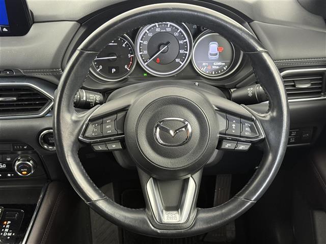 ＣＸ－８ ＸＤプロアクティブ　ブラインドスポットモニター　全方位モニター　純正フリップダウンモニター　レーダークルーズコントロール　レーンキープアシスト　純正ナビ　フルセグＴＶ　Ｂｌｕｅｔｏｏｔｈ接続　パワーバックドア　ＥＴＣ（3枚目）