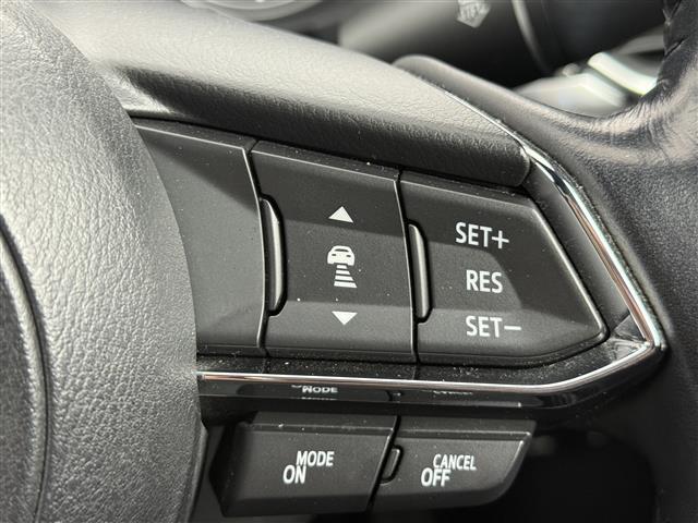 ＣＸ－８ ＸＤプロアクティブ　ブラインドスポットモニター　全方位モニター　純正フリップダウンモニター　レーダークルーズコントロール　レーンキープアシスト　純正ナビ　フルセグＴＶ　Ｂｌｕｅｔｏｏｔｈ接続　パワーバックドア　ＥＴＣ（6枚目）