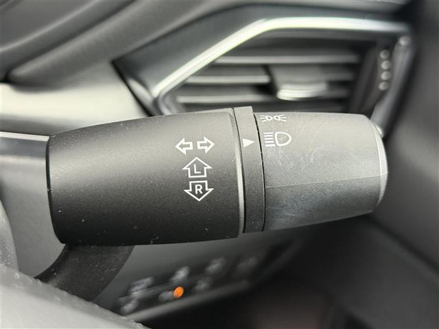 ＣＸ－８ ＸＤプロアクティブ　ブラインドスポットモニター　全方位モニター　純正フリップダウンモニター　レーダークルーズコントロール　レーンキープアシスト　純正ナビ　フルセグＴＶ　Ｂｌｕｅｔｏｏｔｈ接続　パワーバックドア　ＥＴＣ（8枚目）