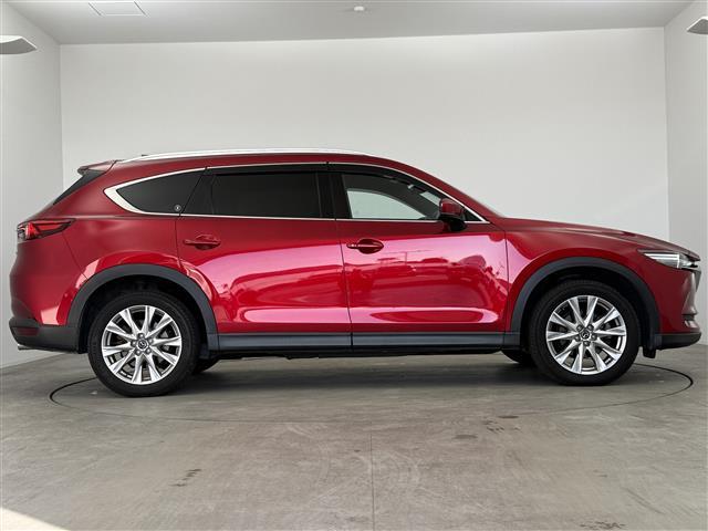 ＣＸ－８ ＸＤプロアクティブ　ブラインドスポットモニター　全方位モニター　純正フリップダウンモニター　レーダークルーズコントロール　レーンキープアシスト　純正ナビ　フルセグＴＶ　Ｂｌｕｅｔｏｏｔｈ接続　パワーバックドア　ＥＴＣ（29枚目）