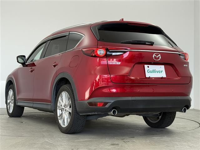 ＣＸ－８ ＸＤプロアクティブ　ブラインドスポットモニター　全方位モニター　純正フリップダウンモニター　レーダークルーズコントロール　レーンキープアシスト　純正ナビ　フルセグＴＶ　Ｂｌｕｅｔｏｏｔｈ接続　パワーバックドア　ＥＴＣ（32枚目）