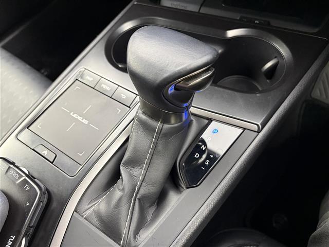 ＵＸ ＵＸ２５０ｈ　バージョンＣ　純正１２．３インチンナビ　アラウンドビューモニター　フルセグＴＶ　レクサスセーフティシステム　クルーズコントロール　衝突被害軽減システム　ブラインドスポットモニター　横滑り防止装置　ドライブレコーダー（14枚目）