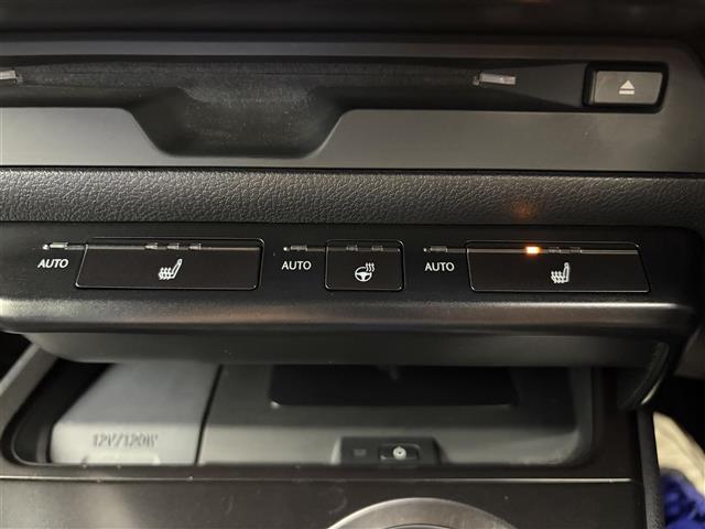 ＵＸ ＵＸ２５０ｈ　バージョンＣ　純正１２．３インチンナビ　アラウンドビューモニター　フルセグＴＶ　レクサスセーフティシステム　クルーズコントロール　衝突被害軽減システム　ブラインドスポットモニター　横滑り防止装置　ドライブレコーダー（16枚目）