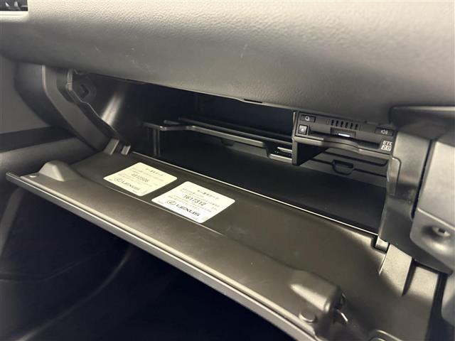 ＵＸ ＵＸ２５０ｈ　バージョンＣ　純正１２．３インチンナビ　アラウンドビューモニター　フルセグＴＶ　レクサスセーフティシステム　クルーズコントロール　衝突被害軽減システム　ブラインドスポットモニター　横滑り防止装置　ドライブレコーダー（21枚目）