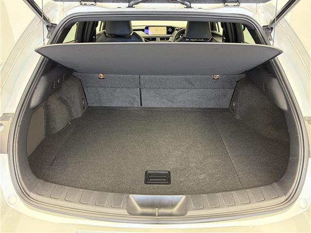 ＵＸ ＵＸ２５０ｈ　バージョンＣ　純正１２．３インチンナビ　アラウンドビューモニター　フルセグＴＶ　レクサスセーフティシステム　クルーズコントロール　衝突被害軽減システム　ブラインドスポットモニター　横滑り防止装置　ドライブレコーダー（30枚目）