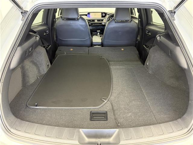 ＵＸ ＵＸ２５０ｈ　バージョンＣ　純正１２．３インチンナビ　アラウンドビューモニター　フルセグＴＶ　レクサスセーフティシステム　クルーズコントロール　衝突被害軽減システム　ブラインドスポットモニター　横滑り防止装置　ドライブレコーダー（31枚目）