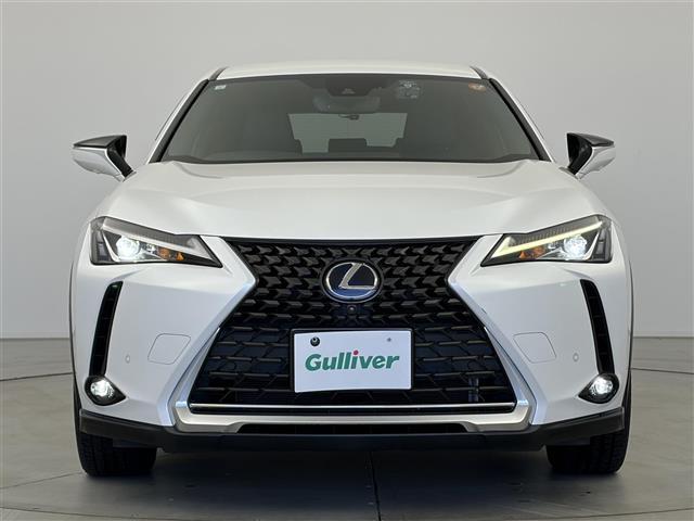 ＵＸ ＵＸ２５０ｈ　バージョンＣ　純正１２．３インチンナビ　アラウンドビューモニター　フルセグＴＶ　レクサスセーフティシステム　クルーズコントロール　衝突被害軽減システム　ブラインドスポットモニター　横滑り防止装置　ドライブレコーダー（32枚目）