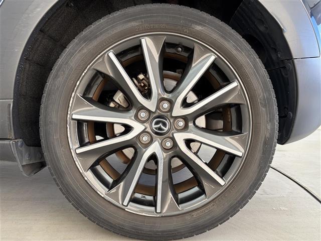 ���f�ډӏ��ȊO�ɂ���]�̎ʐ^���������܂�����A���C�y�ɂ��₢���킹�������I���[����X���ł����肳���Ă��������܂��B