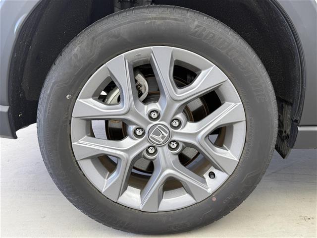 ���f�ډӏ��ȊO�ɂ���]�̎ʐ^���������܂�����A���C�y�ɂ��₢���킹�������I���[����X���ł����肳���Ă��������܂��B