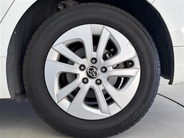 ���f�ډӏ��ȊO�ɂ���]�̎ʐ^���������܂�����A���C�y�ɂ��₢���킹�������I���[����X���ł����肳���Ă��������܂��B