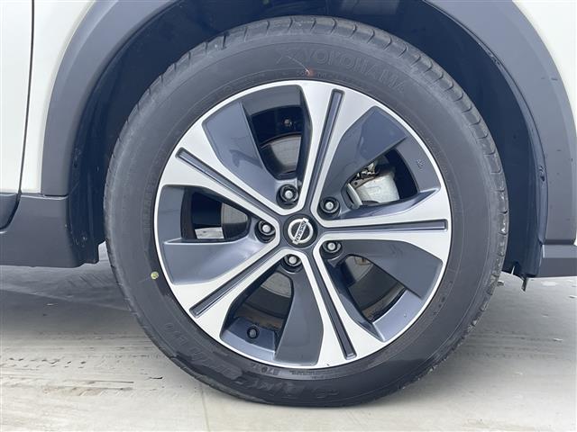 ���̔��͂����ꂢ���������ʂ̂��q�l��D�悳���Ă��������܂��B