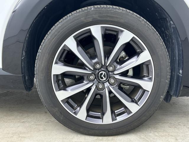 �R�����A���֎s�A�R���s�A�F���s�A����s�A�h�{�s�A�⍑�s�A�����s�A�R�z����c�s�A����s�A����s�A���I�s�A�哇�S���h�哇���A�F�ьS�c�z�{���A�F�ьS�������Ȃǂɂ��Z���̂��q�l�̂����X���҂����Ă���܂��B