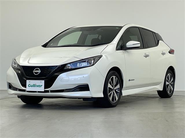 リーフ X 純正ナビ Bluetooth USB HDMI フルセグTV バックカメラ 衝突軽減ブレーキ 車線逸脱警報 道路標識表示 コーナーセンサー シートヒーター ステアリングヒーター ビルトインETC(29枚目)