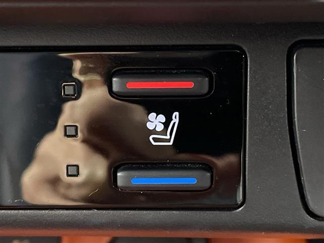 ＲＡＶ４ アドベンチャー　純正１０．５インチディスプレイオーディオ　デジタルインナーミラー　ブラインドスポットモニター　プリクラッシュセーフティ　レーダークルーズコントロール　ベンチレーション　純正１９インチＡＷ　ＥＴＣ（19枚目）