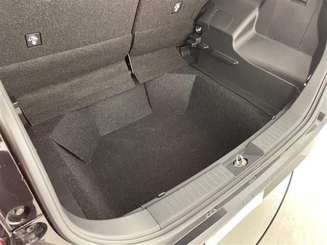 ライズ Z 純正ナビ バックカメラ 衝突軽減ブレーキ レーンキープアシスト コーナーセンサー レーダークルーズコントロール LEDヘッドライト ドライブレコーダー ETC 純正アルミホイール 純正ドアバイザー(29枚目)