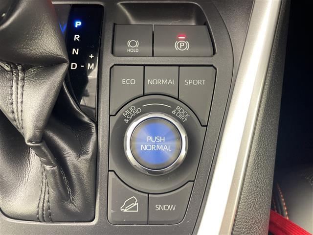 RAV4 アドベンチャー 純正9インチSDナビ CD DVD Bluetooth フルセグTV バックカメラ ビルトインETC2.0 トヨタセーフティセンス プリクラッシュセーフティシステム レーントレーシングアシスト(23枚目)