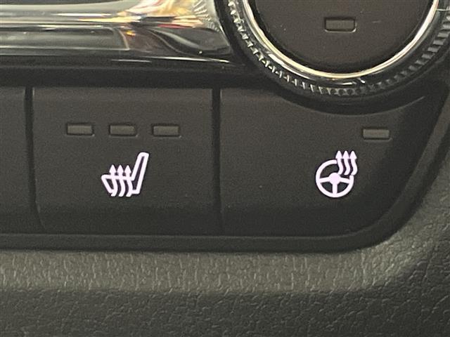 CX-30 20S Lパッケージ 純正ナビ Bluetooth CD DVD フルセグTV HDMI 全方位カメラ 追従型クルーズコントロール 衝突軽減ブレーキ レーンキープアシスト 横滑り防止 ブラインドスポットモニター LED(13枚目)