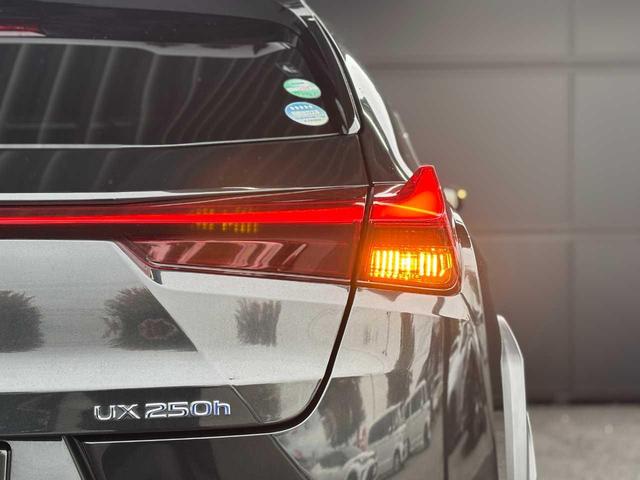 ��Ԃł����F���̗ǂ��X�^�C���b�V���Ȃk�d�c�e�[�����C�g�ł��I�������������ƂĂ��I�V�����ł���