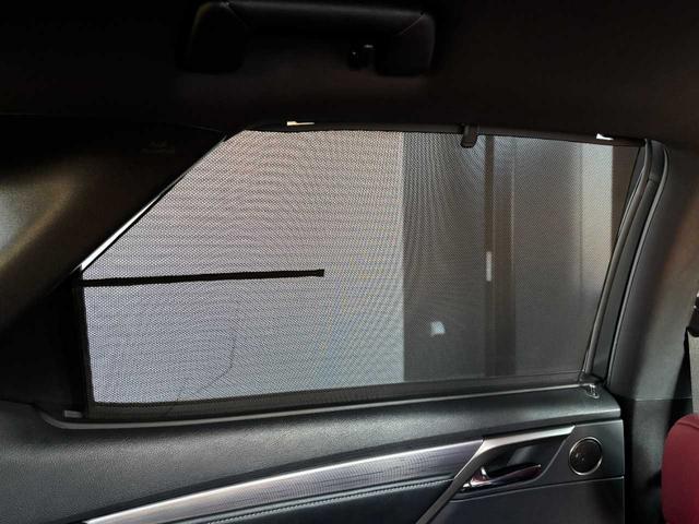 RX RX450h Fスポーツ 純正メモリーナビ Bluetooth接続 フルセグTV視聴 CD/DVD再生 バックカメラ クリアランスソナー 前後ドライブレコーダー ETC 赤レザーシート 20インチアルミ スマートキー 禁煙車(42枚目)