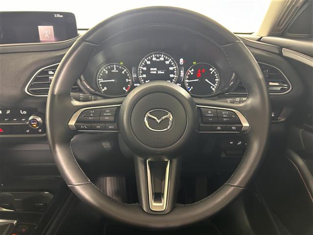 ＣＸ－３０ ＸＤ　レトロスポーツエディション　純正１０インチナビ　ＡＭ／ＦＭ／ＢＴ／ＨＤＭＩ／フルセグＴＶ　衝突被害軽減ブレーキ　レーダークルーズコントロール　レーンキープアシスト　ＢＳＭ　前後コーナーセンサー　アラウンドビューモニター　ＢＯＳＥ（15枚目）