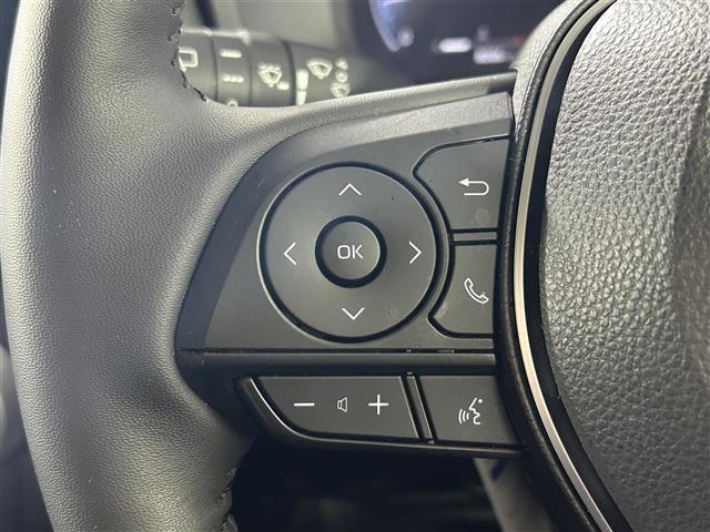 ＲＡＶ４ アドベンチャー　純正１０．５インチディスプレイオーディオ　フルセグ　Ｂｌｕｅｔｏｏｔｈ　全方位モニター　デジタルインナーミラー　ＥＴＣ２．０　　トヨタセーフティーセンス　ブラインドスポットモニター　追従型クルコン（9枚目）