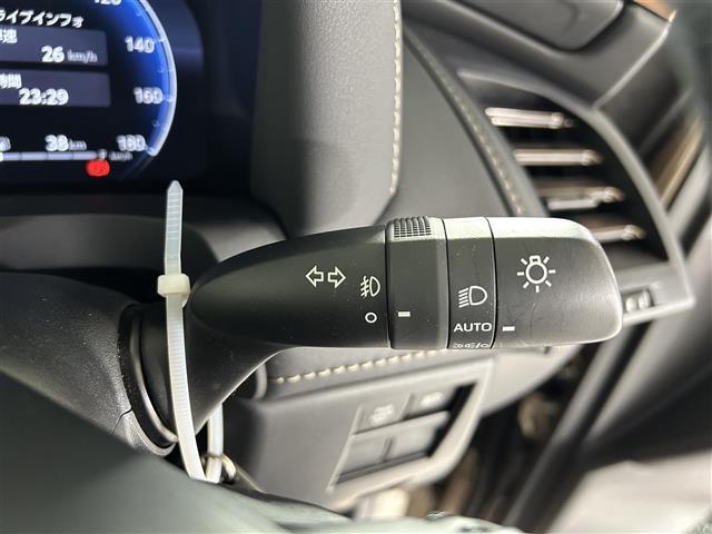 アルファード Z ワンオーナー 純正14インチディスプレイオーディオ ガラスルーフ 衝突軽減装置 レーダークルーズコントロール レーンアシスト ブラインドスポットモニター デジタルインナールームミラー ワイヤレス充電器(18枚目)