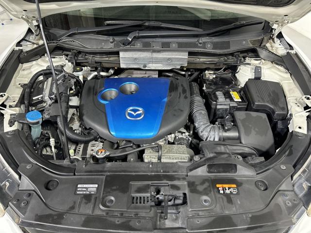 ���̓x�̓K���o�[�̍݌ɂ����������܂��āA�L��������܂��B