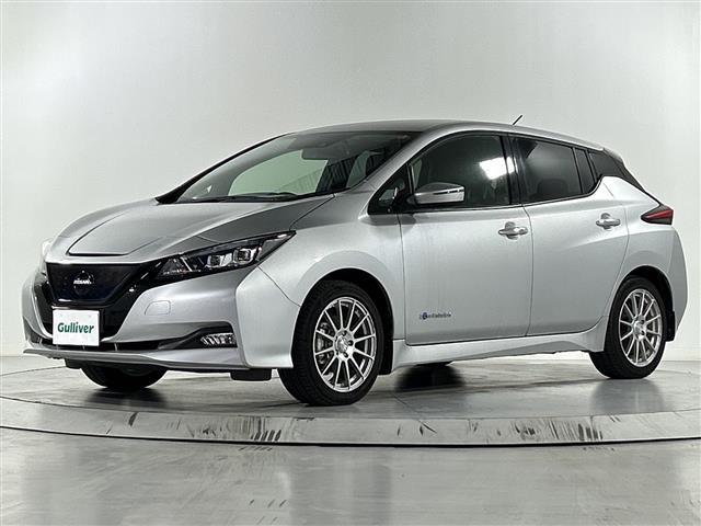 リーフ X 純正7インチナビ バックカメラ 衝突軽減装置 クルーズコントロール 車線逸脱警報 標識検知 オートライト オートハイビーム LEDヘッドライト LEDフォグライト ビルトインETC ステアリングヒータ(40枚目)