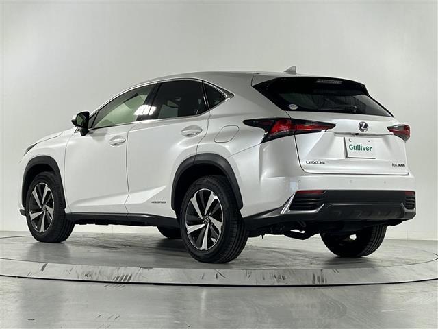 ＮＸ ＮＸ３００ｈ　Ｉパッケージ　純正１０．３インチナビ　衝突被害軽減装置　バックカメラ　ブラインドスポットモニター　レーダークルーズコントロール　レーンアシスト　ステアリングヒーター　サンルーフ　シートヒーター　パワーシート　ＥＴＣ（33枚目）