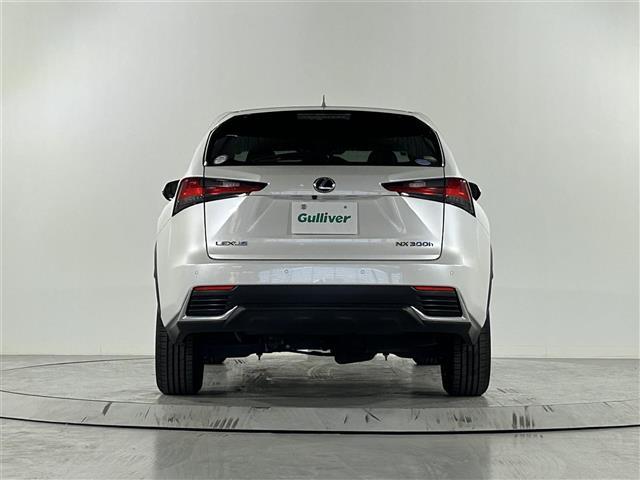 ＮＸ ＮＸ３００ｈ　Ｉパッケージ　純正１０．３インチナビ　衝突被害軽減装置　バックカメラ　ブラインドスポットモニター　レーダークルーズコントロール　レーンアシスト　ステアリングヒーター　サンルーフ　シートヒーター　パワーシート　ＥＴＣ（34枚目）