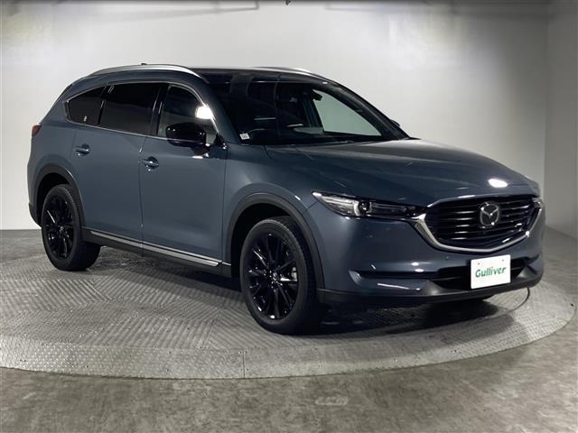 ＣＸ－８ ＸＤ　ブラックトーンエディション　県外仕入　禁煙車　純正１０インチナビ（ＢＴ，フルセグ，ラジオ，ＵＳＢ）　３６０°ビューモニター　ＢＯＳＥサウンド　フリップダウンモニター　ワイヤレス充電　パワーシート　電動リアゲート　レーダークルコン（32枚目）