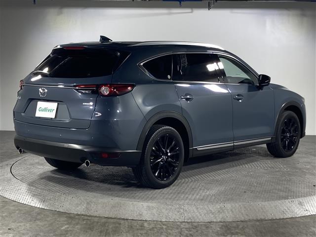 ＣＸ－８ ＸＤ　ブラックトーンエディション　県外仕入　禁煙車　純正１０インチナビ（ＢＴ，フルセグ，ラジオ，ＵＳＢ）　３６０°ビューモニター　ＢＯＳＥサウンド　フリップダウンモニター　ワイヤレス充電　パワーシート　電動リアゲート　レーダークルコン（35枚目）