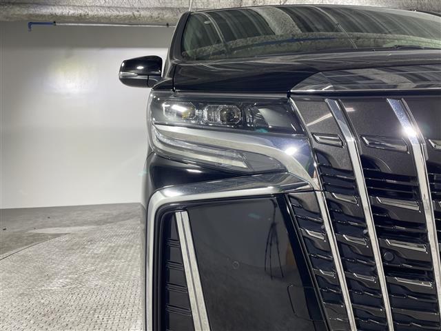 �y�@�t�H�O�����v�@�z���{��Ŗ����i�ނƂ��j�ƌĂ΂��t�H�O�����v�́A���̖��̒ʂ�Z���������������ۂȂǂɓ_�������āA���E���m�ۂ���d�v�ȃ����v�ł��I