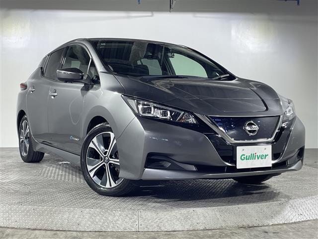 リーフ Ｘ　Ｖセレクション　県外仕入れ　禁煙車　純正ナビ　フルセグＴＶ　Ｂｌｕｅｔｏｏｔｈ　ＨＤＭＩ　ＵＳＢ　ステアリングリモコン　アラウンドビューモニター　プロパイロット　デジタルインナーミラー　前後ドライブレコーダー（38枚目）