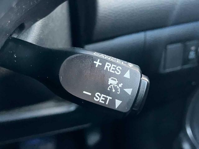 �������܂ɂ͂ǂ��ł����H