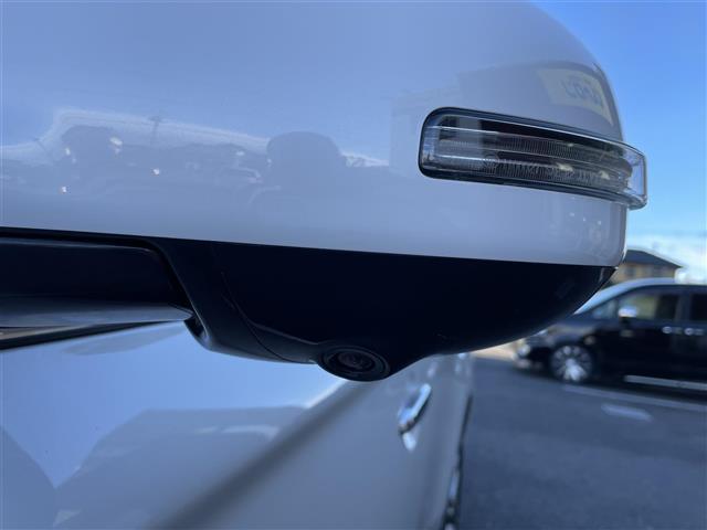 �����������A�����������Ⴭ����z�X�ł��I���X�̓K���o�[�̎��Ѓ��[�����X�ɂȂ�܂��B