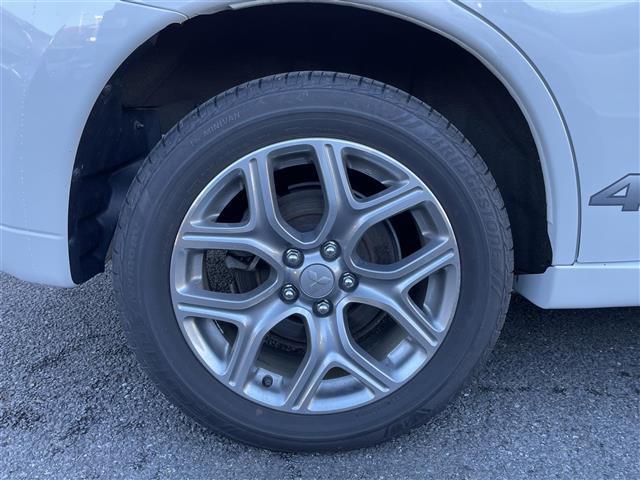 �����������A�����������Ⴭ����z�X�ł��I���X�̓K���o�[�̎��Ѓ��[�����X�ɂȂ�܂��B