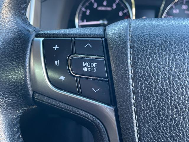 �����������A�����������Ⴭ����z�X�ł��I���X�̓K���o�[�̎��Ѓ��[�����X�ɂȂ�܂��B