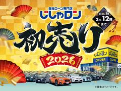 �ǥߥ� �أĥġ���󥰡��̥ѥå���������ϡ��ե쥶�������ȡ���������ʥӡ��£����������� 3000730A20251216J001 2