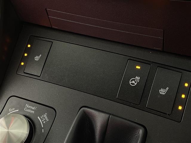 IS IS300h Fスポーツ サンルーフ アラウンドビューモニター 純正メモリナビ フルセグテレビ 赤革シート シートヒーター BSM ETC2.0 レーダークルーズコントロール カードキー有り(16枚目)