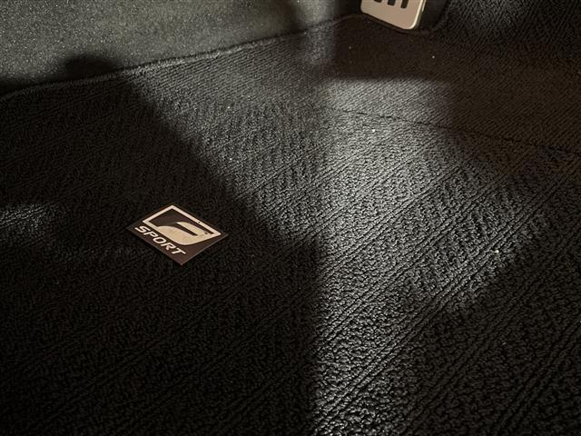 IS IS300h Fスポーツ サンルーフ アラウンドビューモニター 純正メモリナビ フルセグテレビ 赤革シート シートヒーター BSM ETC2.0 レーダークルーズコントロール カードキー有り(24枚目)