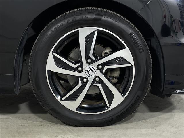 ���K���o�[�O���[�v�S���R�T�C�O�O�O�䁦�̒�����C�ɓ������P������I�т��������܂��B�w�{���ɂ��̃N���}��I��ł����̂��ȁH�x�Ƃ����s�������C�y�ɓX�܃X�^�b�t�܂ł����k�������I�I���Q�O�Q�Q�N�V�����_