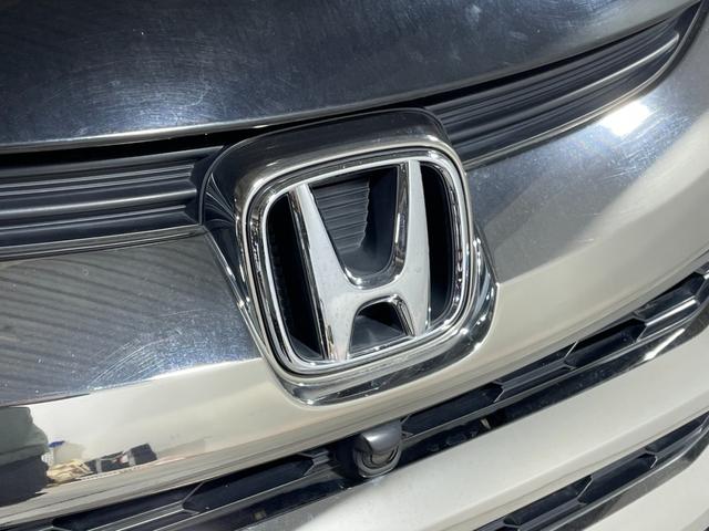 ���w�b�h���C�g�E�z�C�[���E�t�����g�K���X�ȂǐF�X�ȕ����̃R�[�e�B���O�����p�ӂ��Ă���܂��I